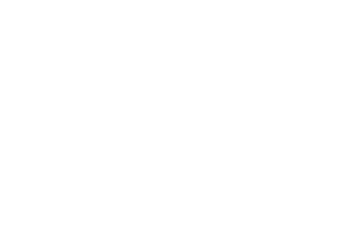 New Logo